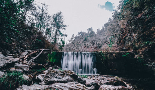 Scenic view of waterfall in forest against sky