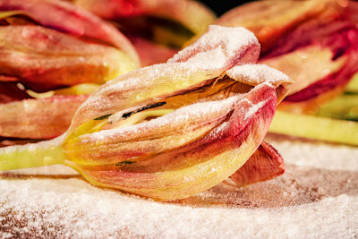 Close-up of fruit