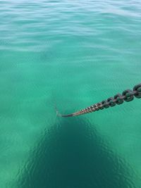 High angle view of sea