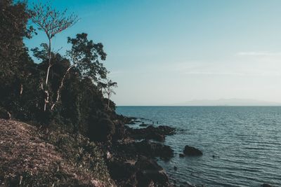 Scenic view of sea and sky