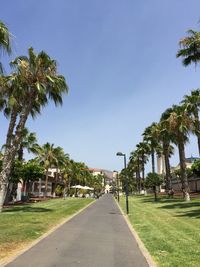 Street amidst palm trees against clear sky