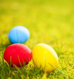 Close-up of red ball on grassy field
