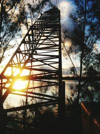 Sun shining through trees