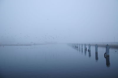 Bollards in sea during foggy weather