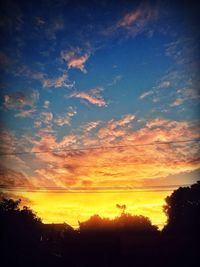 Silhouette of trees at sunset