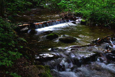 Stream flowing through rocks in forest