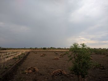 View of dirt road amidst field against sky
