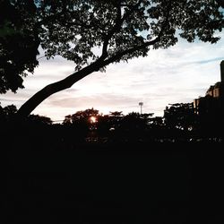 Silhouette trees against sky during sunset