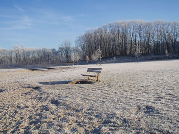 Scenic view of park during winter