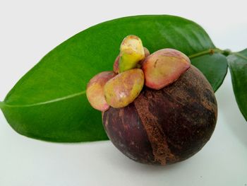 Close-up of fruits against white background