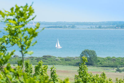 Scenic view of sea against clear sky