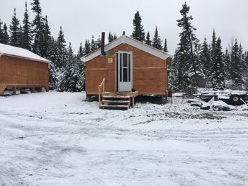 Houses on snow covered land by trees and building