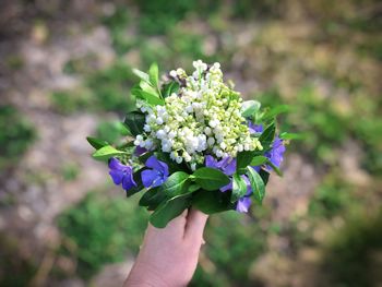 Hand holding a bouquet of lilies of the valley flowers