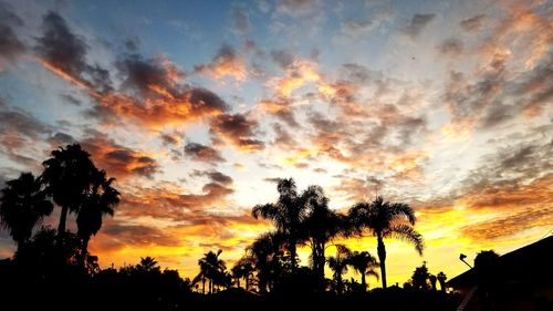 Low angle view of silhouette trees against dramatic sky