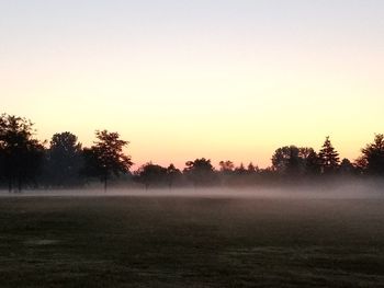 Trees on field against sky during sunset