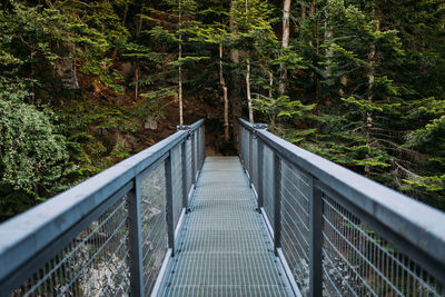 Footbridge amidst trees in forest