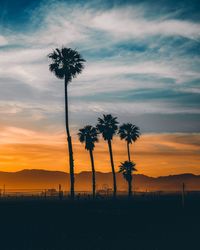 Silhouette palm trees against sky during sunset