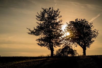Silhouette tree on field against sky during sunset