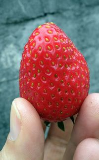 Close-up of hand holding strawberries