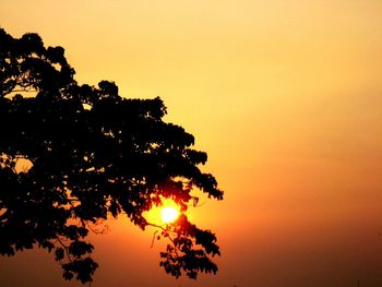 Silhouette tree against orange sky