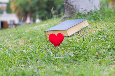 Close-up of heart shape on field