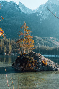 Scenic view of sea and mountains