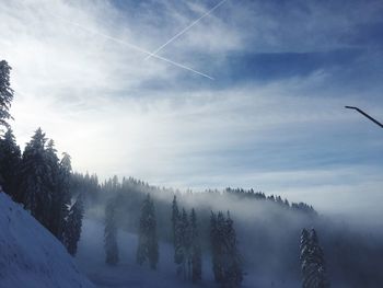 Trees on snow covered landscape against sky