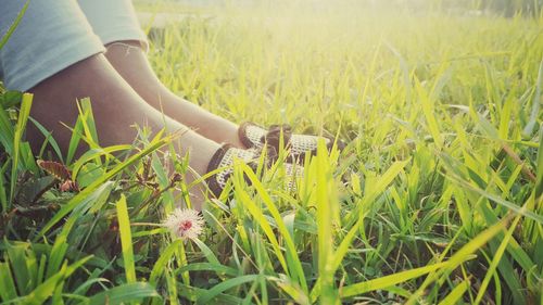 Low section of woman sitting on grassy field