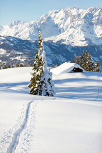 Winter nature landscape with footprints leading to the alpine hut
