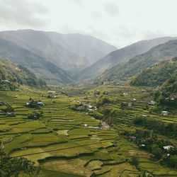 Scenic view of rice terrace against mountains