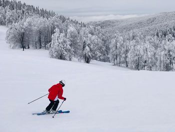 Rear view of person skiing on snow covered land