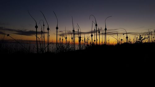 Silhouette of landscape at sunset