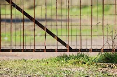 Close-up of field by fence