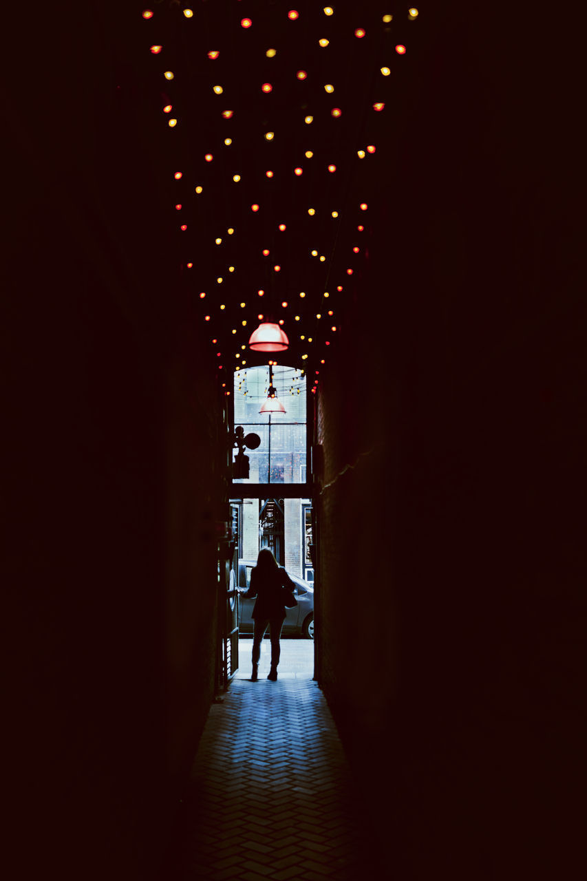 REAR VIEW OF MEN WALKING ON ILLUMINATED BUILDING