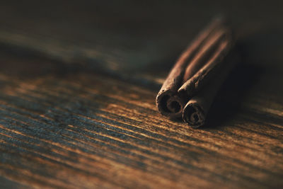 Close-up of cinnamon sticks