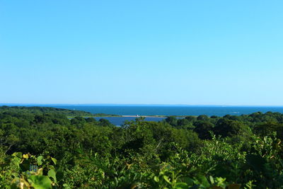 Scenic view of sea against clear blue sky