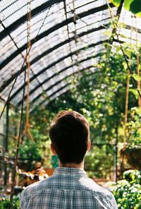 Rear view of a girl standing in greenhouse