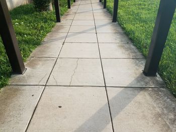 High angle view of footpath in park