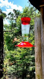 Red wine glasses on table against trees