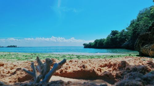 Scenic view of beach against blue sky