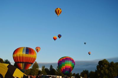 Low angle view of hot air balloons against blue sky