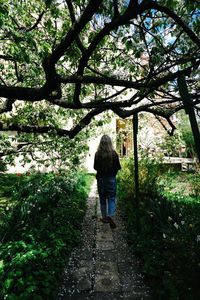 Rear view of man walking on tree