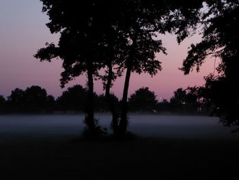 Silhouette trees on field against sky at sunset