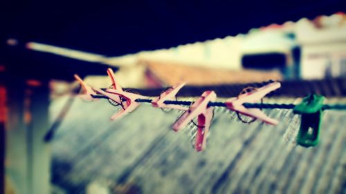 Close-up of clothespins on clothesline