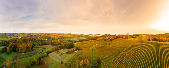 South styria vineyards panorama, aerial view from eckberg at autumn grape hills and foggy alps 