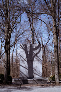 Bare trees in cemetery against sky
