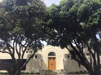 Low angle view of trees and building against sky