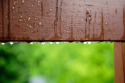 Close-up of wet metal fence against brick wall