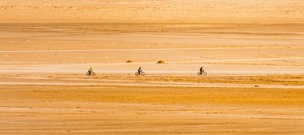 Scenic view of people cycling in desert