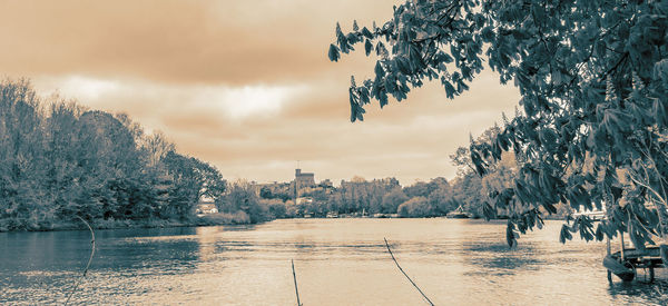 Scenic view of river by trees against sky